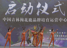 中國吉林梅花鹿品牌培育運(yùn)營中心落戶長春雙陽區(qū)