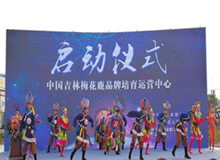 300多年歷史？最強(qiáng)養(yǎng)鹿大區(qū)前來報(bào)到！