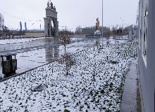 皚皚春雪，美麗凍人！