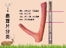 鹿茸的研究永不過時(shí)！藥用歷史長(zhǎng)遠(yuǎn)，價(jià)值極高！