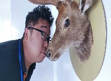“惡性襲鹿”事件，“嫌疑人”竟是他？！
