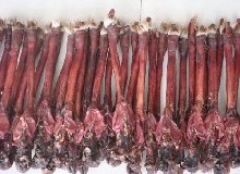 干貨！鹿鞭的鑒別！