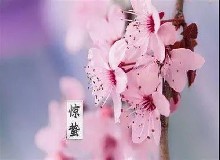 驚蟄喝鹿酒|仲春人如新！一陣催花雨，數(shù)聲驚蟄雷...