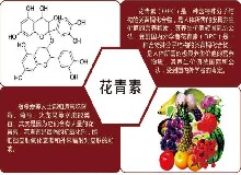 天然“防腐劑”，清除自由基，貌美更年輕！