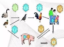 五一小長(zhǎng)假外出游玩，注意與動(dòng)物之間保持距離！