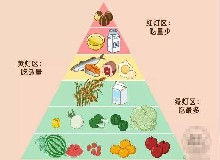 你知道你的器官愛吃什么食物嘛？最愛的食物全在這了！