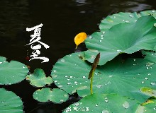 夏至已至，這份“養(yǎng)”生攻略請(qǐng)收好！
