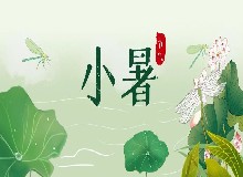 小暑消暑，以熱制熱方是王道！