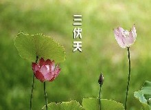 長(zhǎng)達(dá)40多天的三伏天，別光顧著躲涼，是冬病夏治的好時(shí)機(jī)！