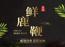 如何挑選好鹿鞭？鹿鞭人參酒的自制方法